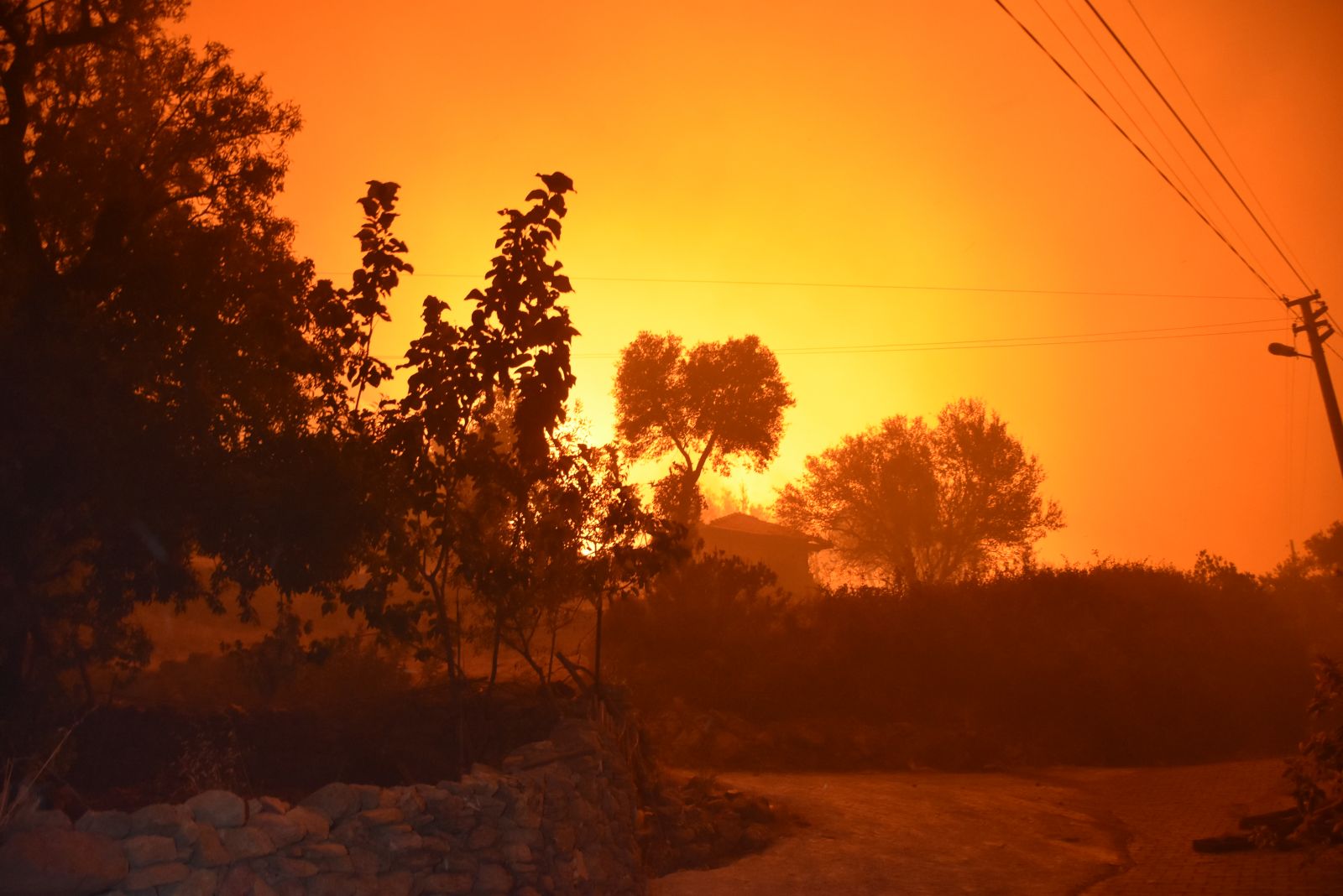 Muğla'daki yangın sürüyor! Bir köy yok oldu