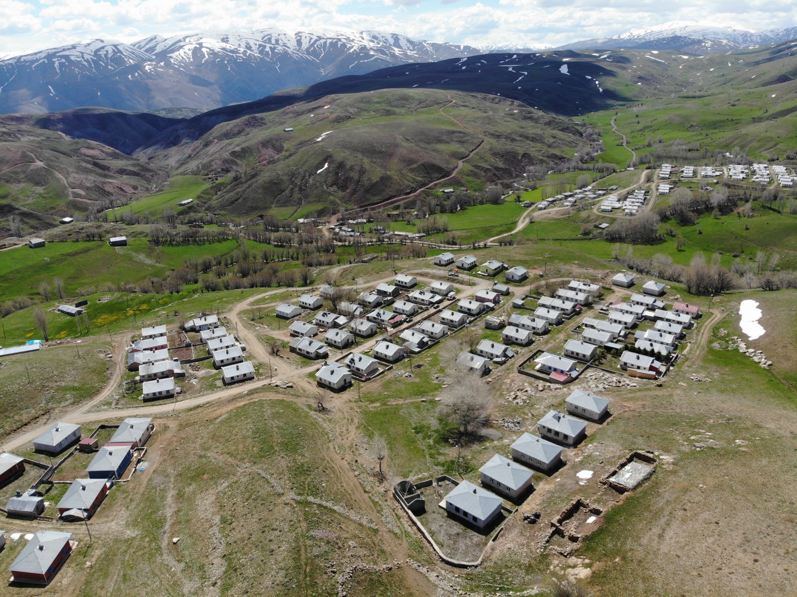 Erzurum'da bal arayan ayılar evlere zarar verdi