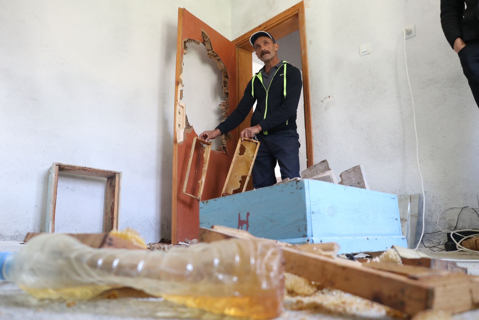 Erzurum'da bal arayan ayılar evlere zarar verdi