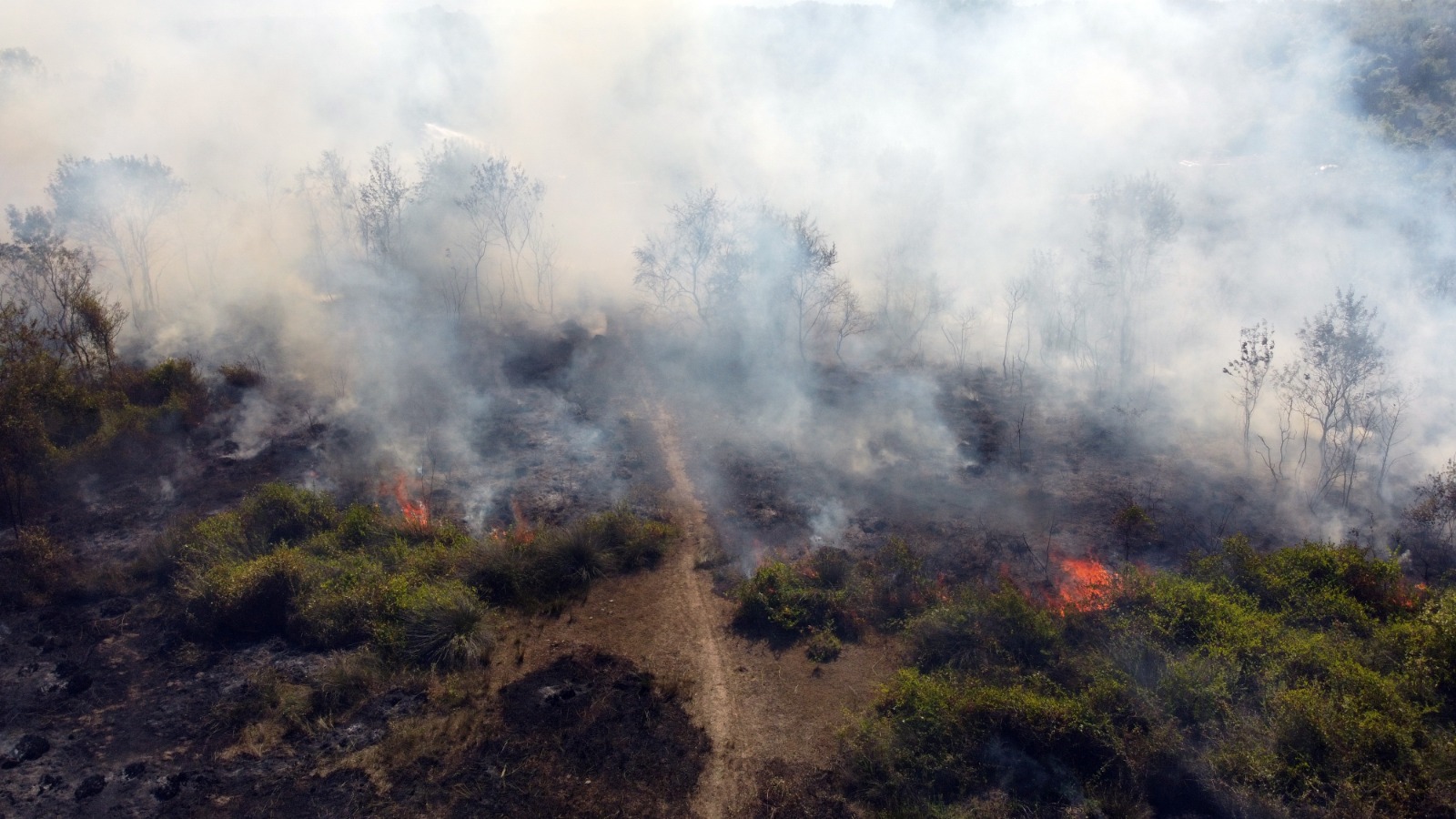 Kızılırmak Deltası Kuş Cenneti'nde yangın