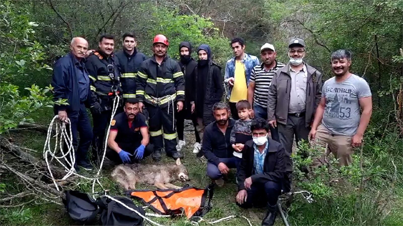 Ormanda kurt kurtarma operasyonu