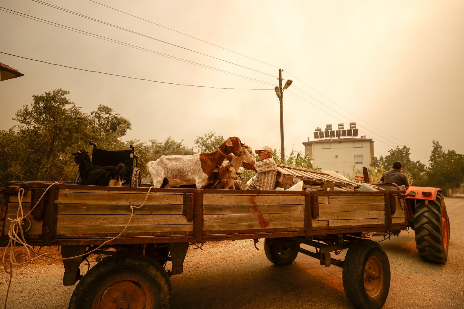 Antalya Manavgat'ta yangın: Yerleşim yerlerine sıçradı