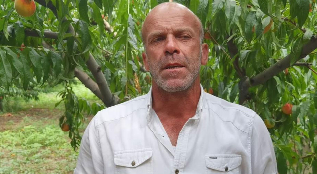 Şeftalinin suyu çıktı! Dalında 3 TL ama tezgahta 10 TL