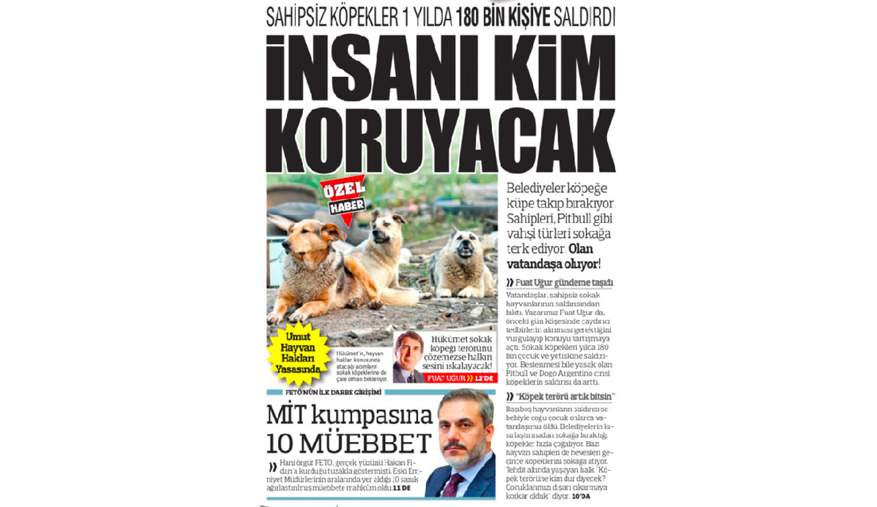 Pitbull'un saldırdığı Asiye'nin ailesi gazetemize konuştu: Yasağı çiğnediler bedelini ödesinler