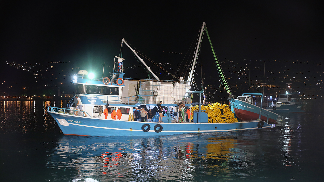 Ağlar denize atıldı! Balıkçılar bol palamut bekliyor