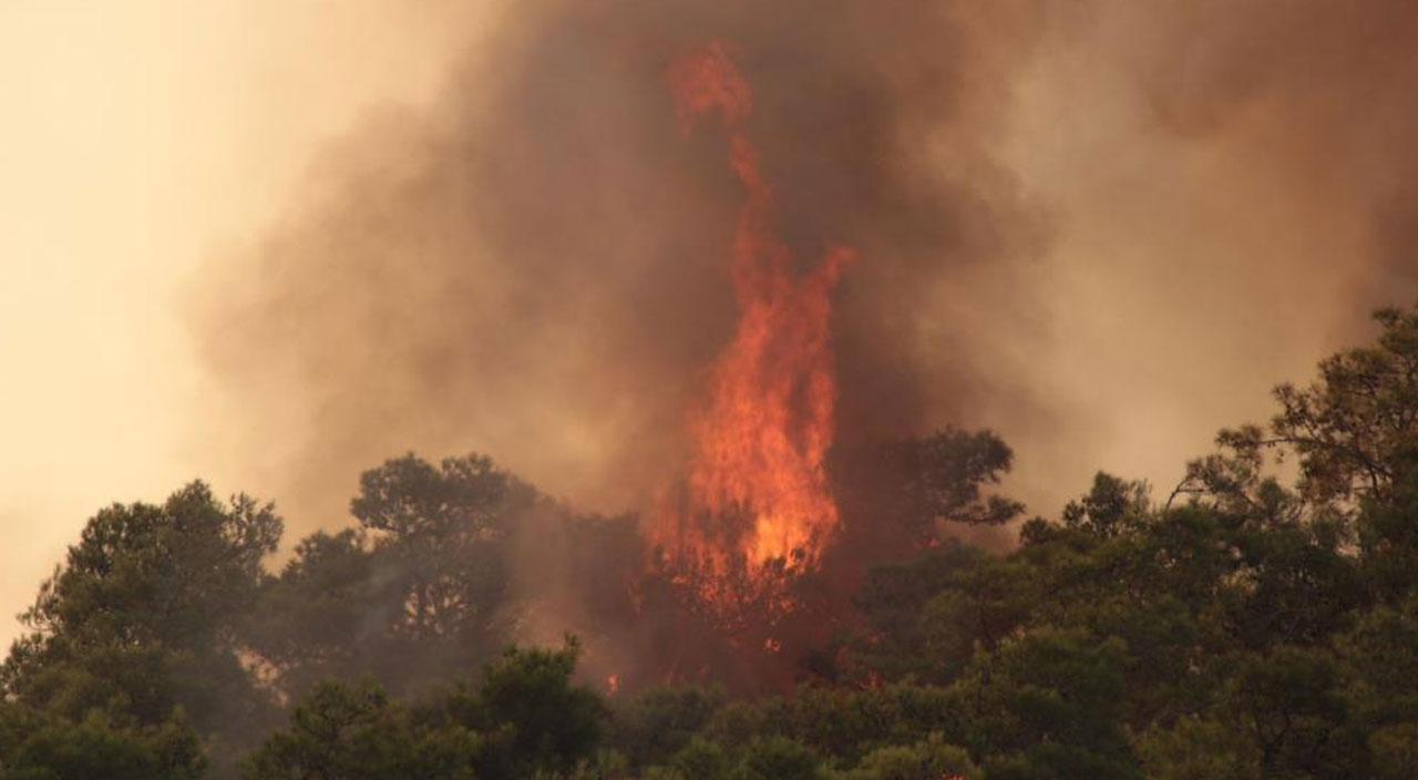 Meteoroloji’den Muğla’ya orman yangını uyarısı