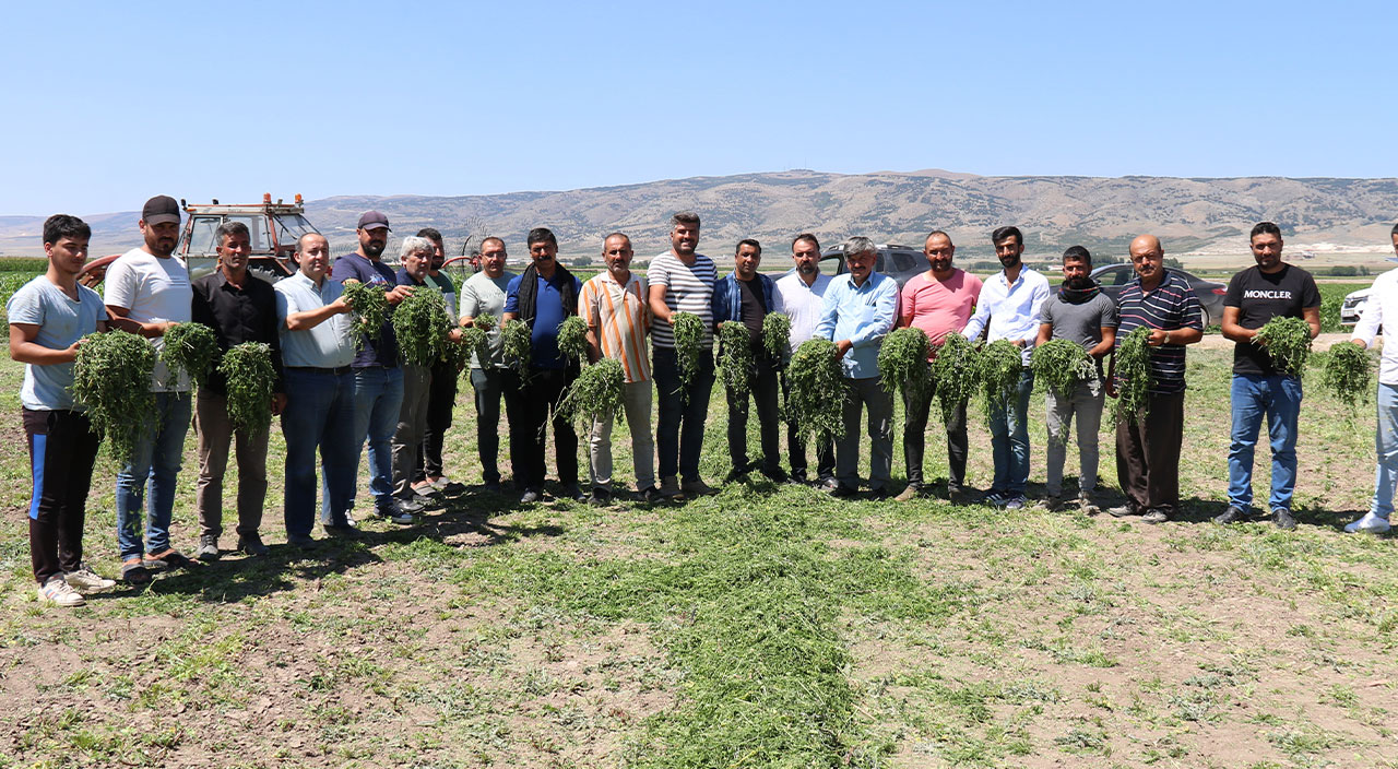 Aracılara kızan çifti ürün göndermeyi durdurdu: Tarlada 50 kuruş, tezgahta 5 lira