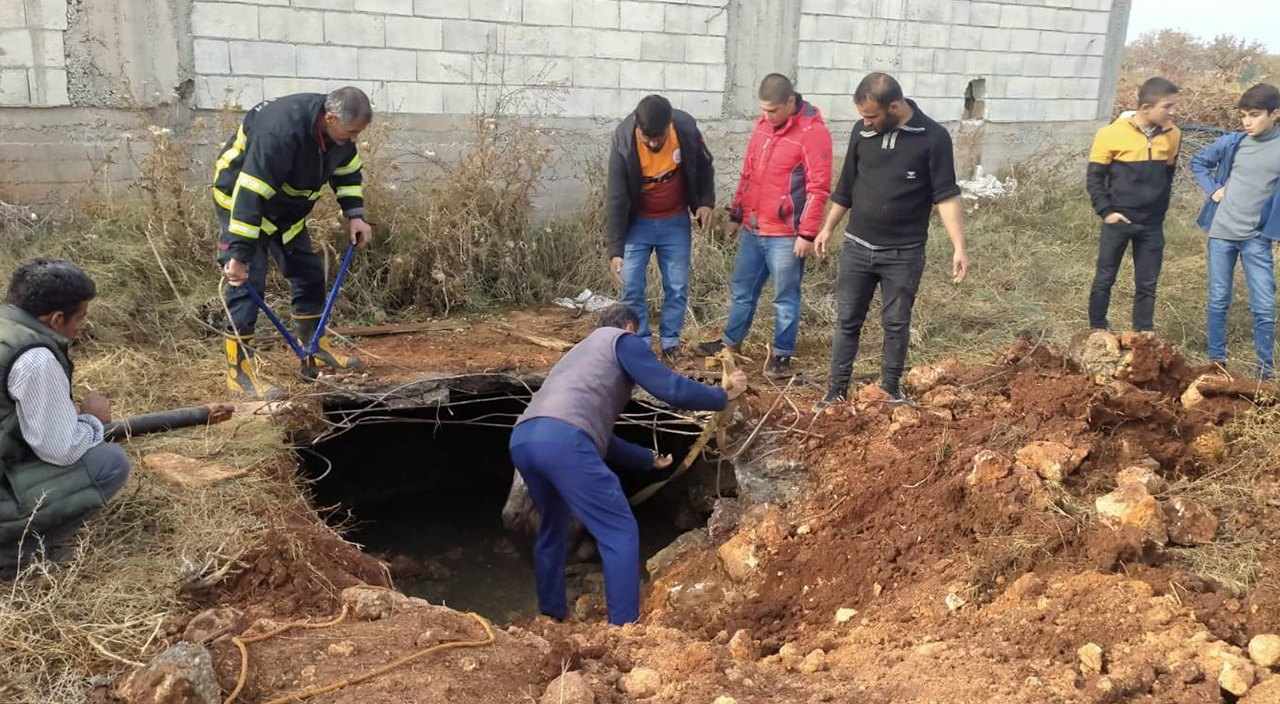 Kaybolan at kanalizasyon çukurundan çıktı