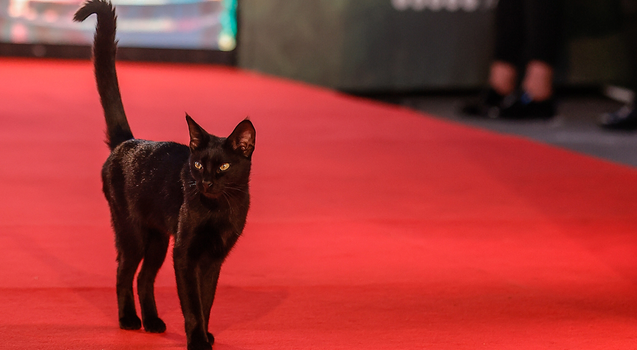 58. Antalya Altın Portakal Film Festivali başladı