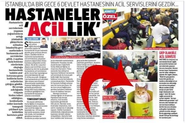 Acil servise kedi sokup videoya çeken Hürriyet muhabiri