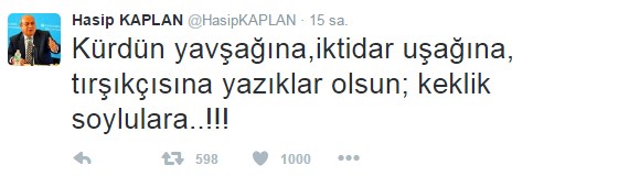 Hasip Kaplan, provokatif çağrılara uymayan Kürt vatandaşlara hakaret etti