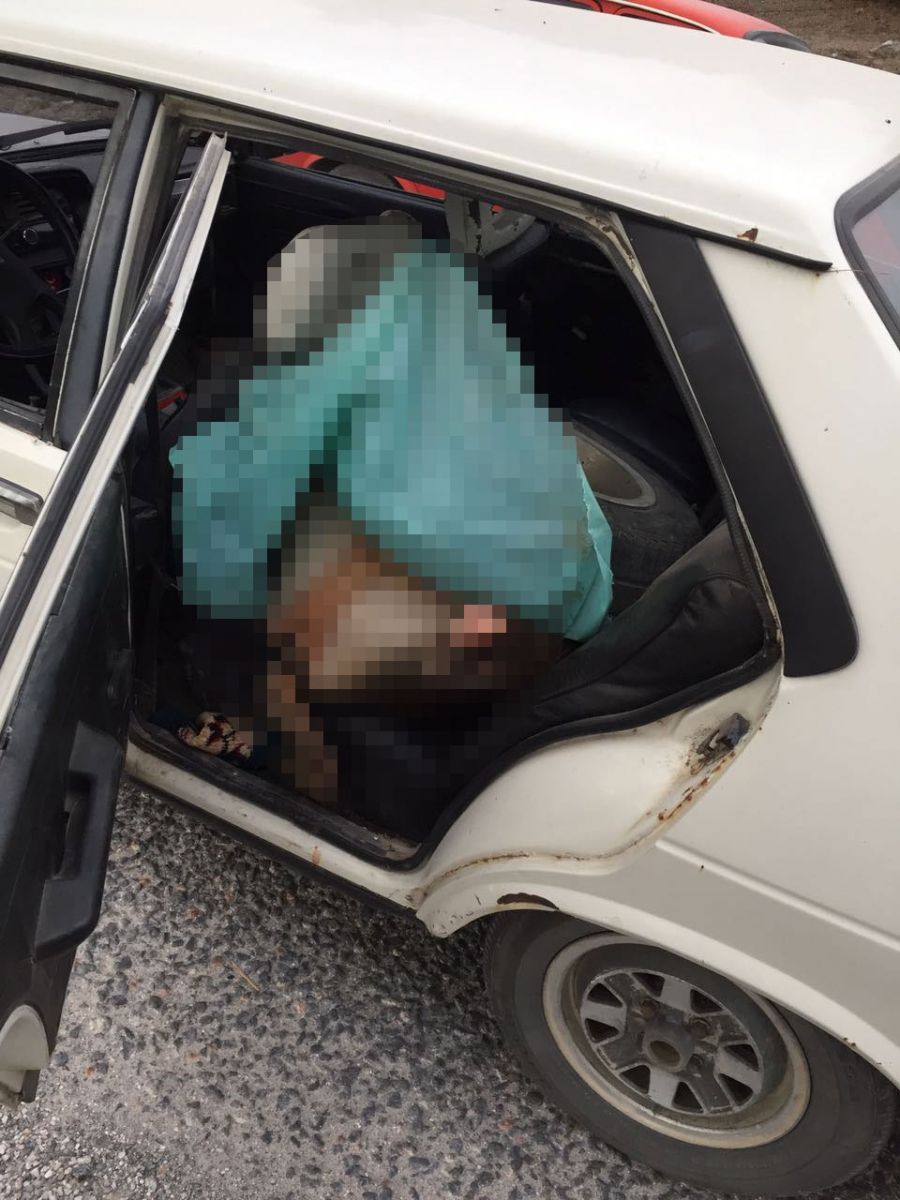 Muğla'da hayvanları tüfekle vurup çaldılar