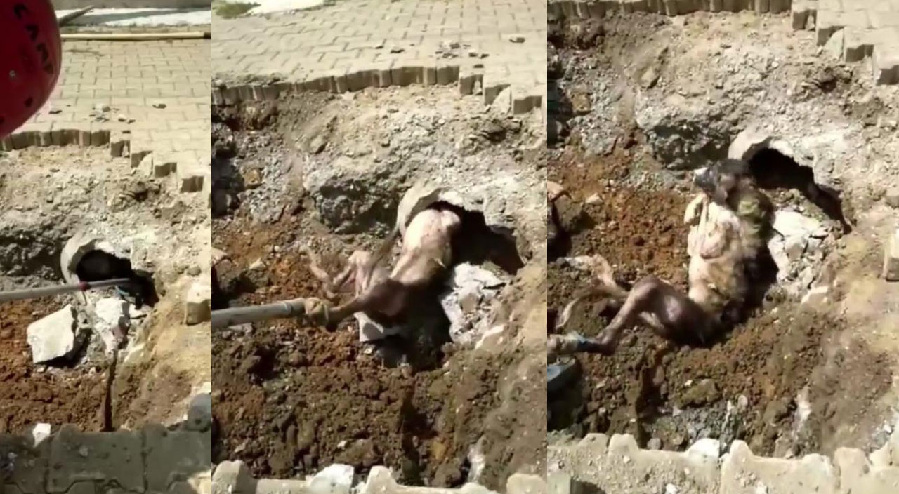Yer altından gelen garip seslerin nedeni belli oldu! Ekipler çalışmalarda gözlerine inanamadı