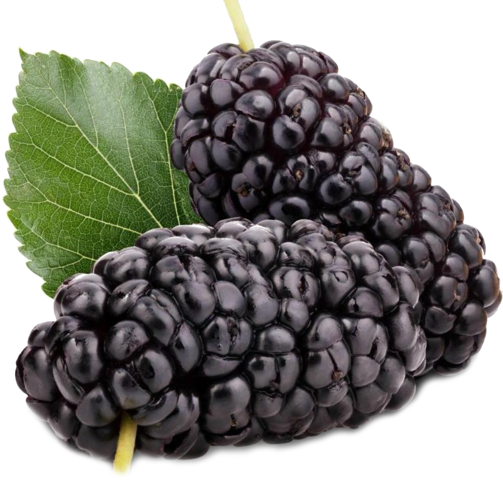 Kanser hastası nasıl beslenmeli?