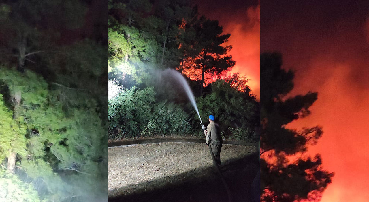 Marmaris'te orman yangınından sevindiren haber! Yangın kontrol altına alındı