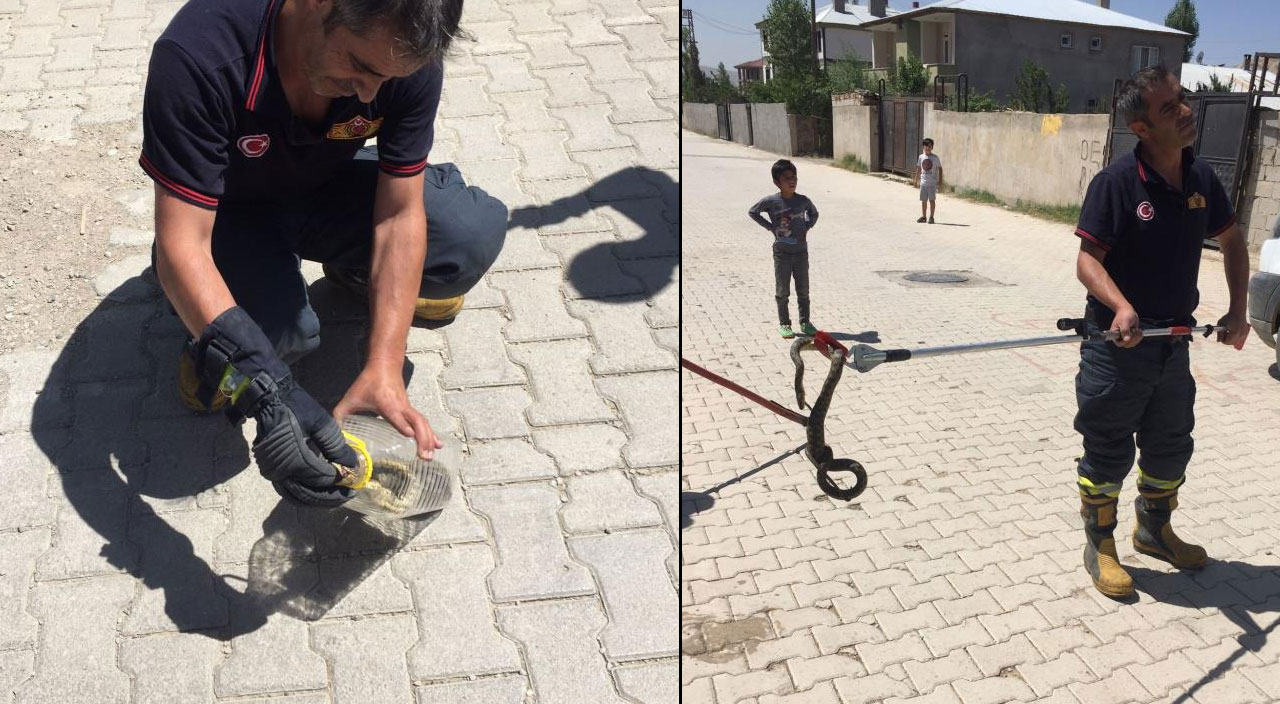 Korku dolu anlar! Sokak ortasındaki yılan görenlere panik yaşattı Korku dolu anlar! Sokak ortasındaki yılan görenlere panik yaşattı