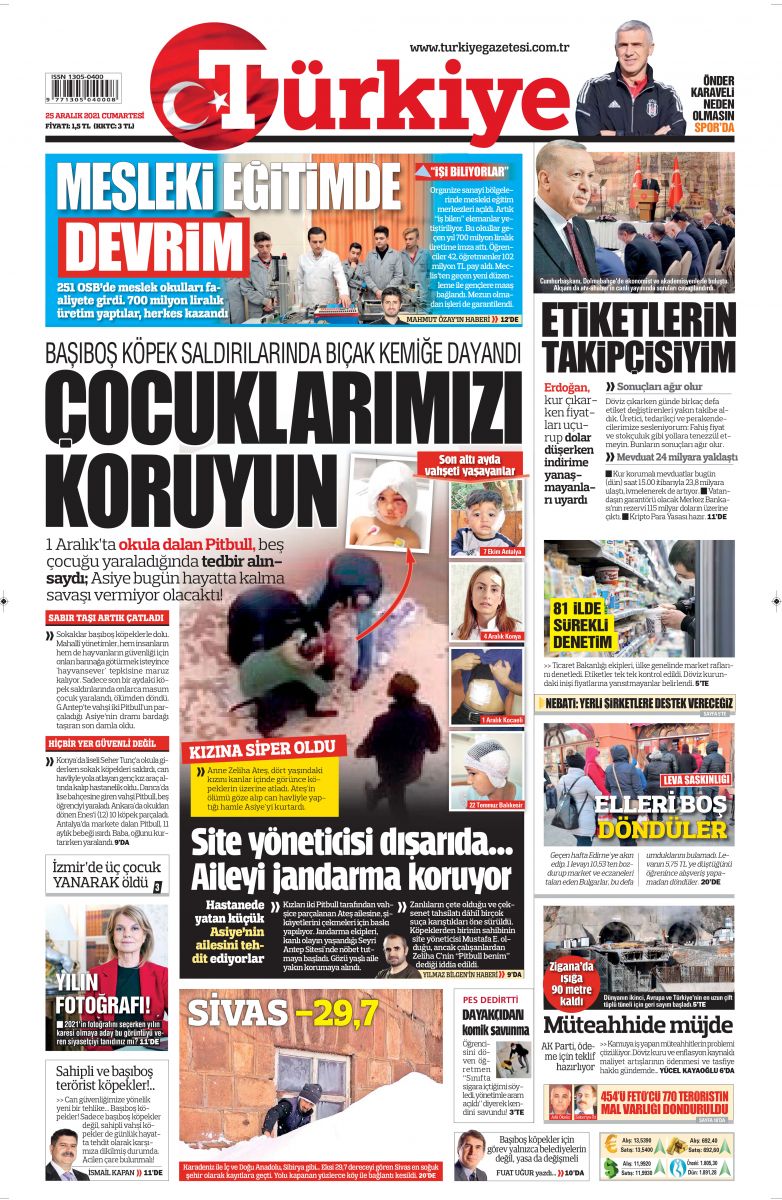 Durdurun şu köpek terörünü! Çocuklarımızı koruyalım