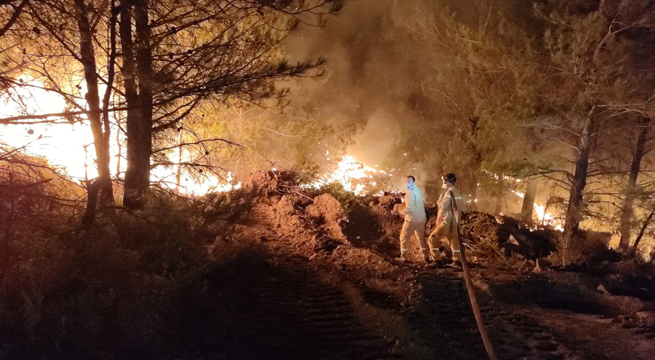 Datça'da orman yangını sürüyor: Çıkış nedeni belli oldu