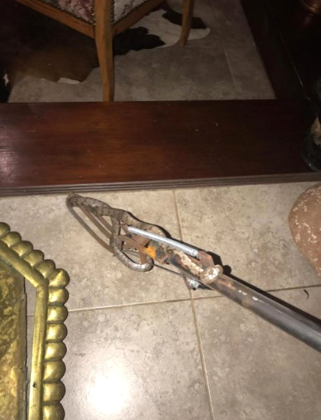 Dehşete düşüren olay! Klimadan 1 metrelik zehirli yılan çıktı