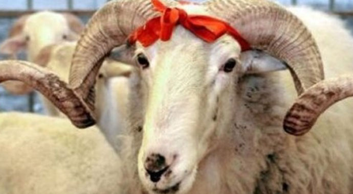 Kurban Bayramı tarihi, ne zaman 2019? 2019 Kurban Bayramı tatili kaç gün? Kurban Bayramı Tatili NE ZAMAN başlıyor, ne zaman bitiyor 2019?