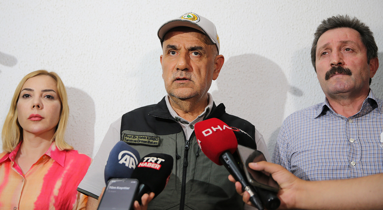 Datça'da orman yangını sürüyor: Çıkış nedeni belli oldu