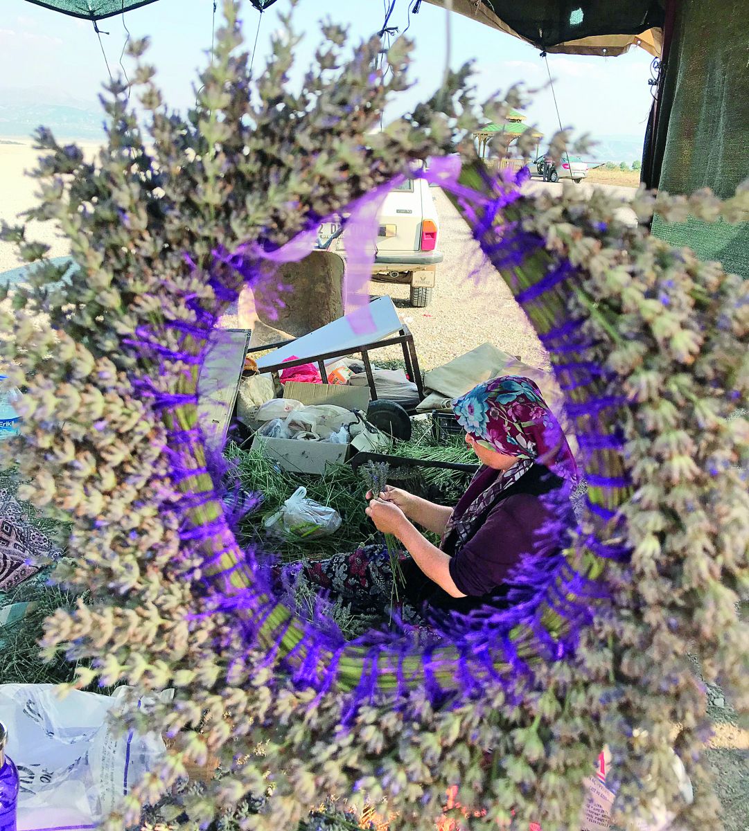 Isparta kabuğunu kırıyor