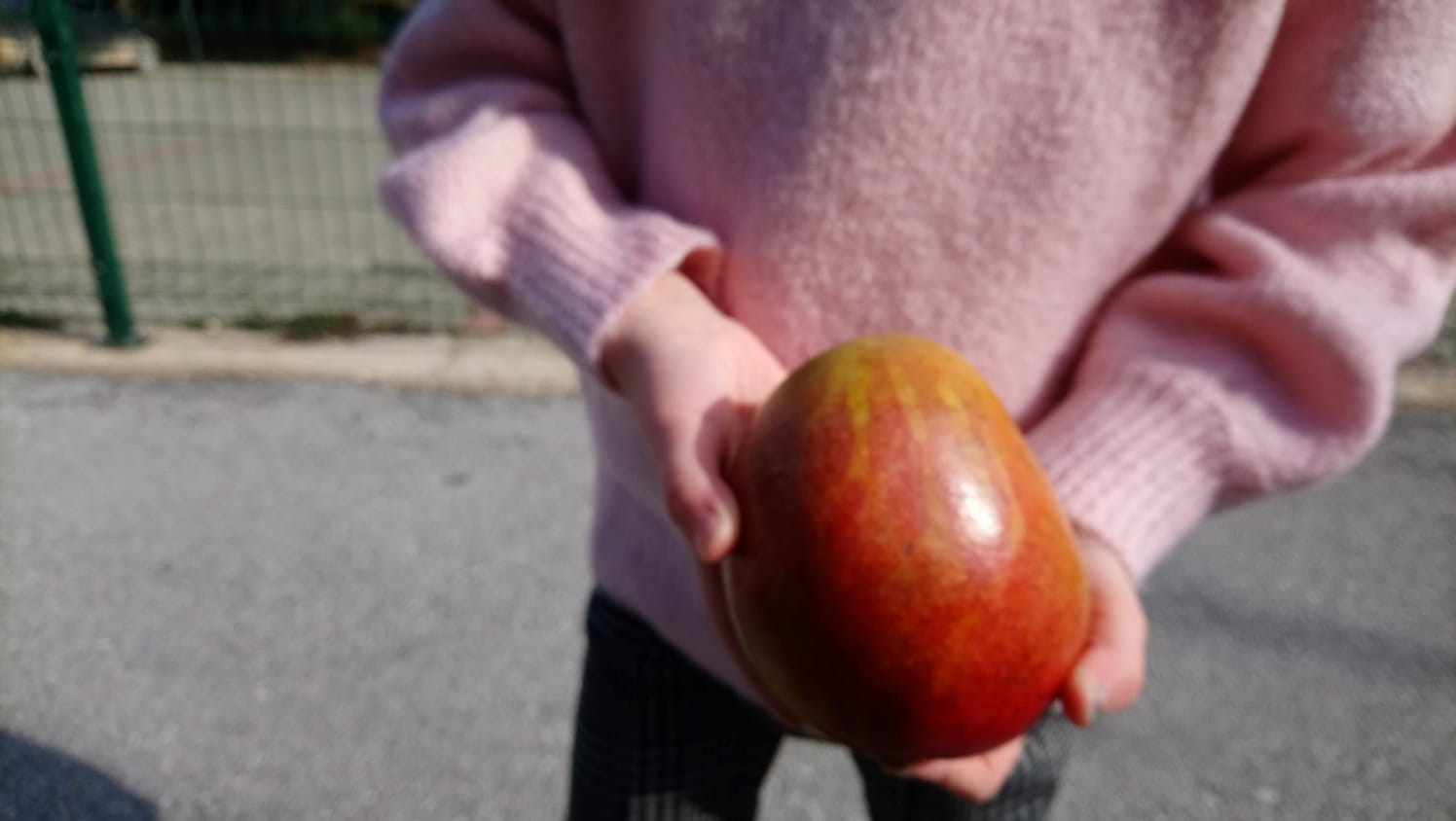 Binlerce kilometre uzaktan gelen meyvenin üzerindeki yazıyı görünce yemekten vazgeçti