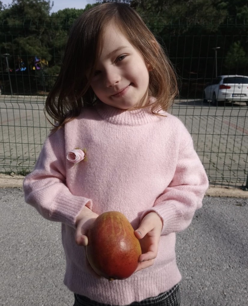 Binlerce kilometre uzaktan gelen meyvenin üzerindeki yazıyı görünce yemekten vazgeçti