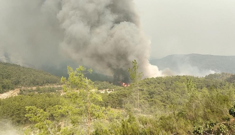 Orman yangınlarında son gelişmeler