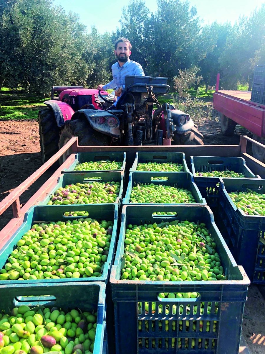 Altın sıvının altın yılları