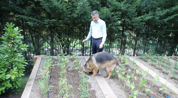 Cumhurbaşkanı Yardımcısı Oktay: Eski bayramların hepsi güzelmiş