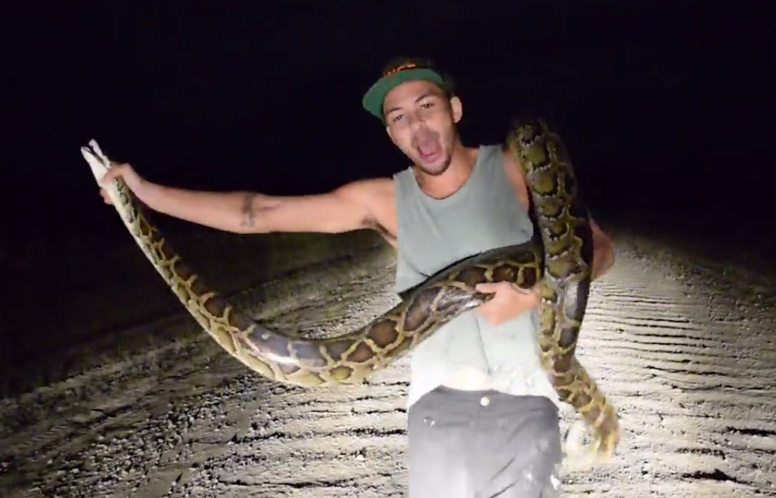 3 metrelik pitonu elleriyle yakaladı
