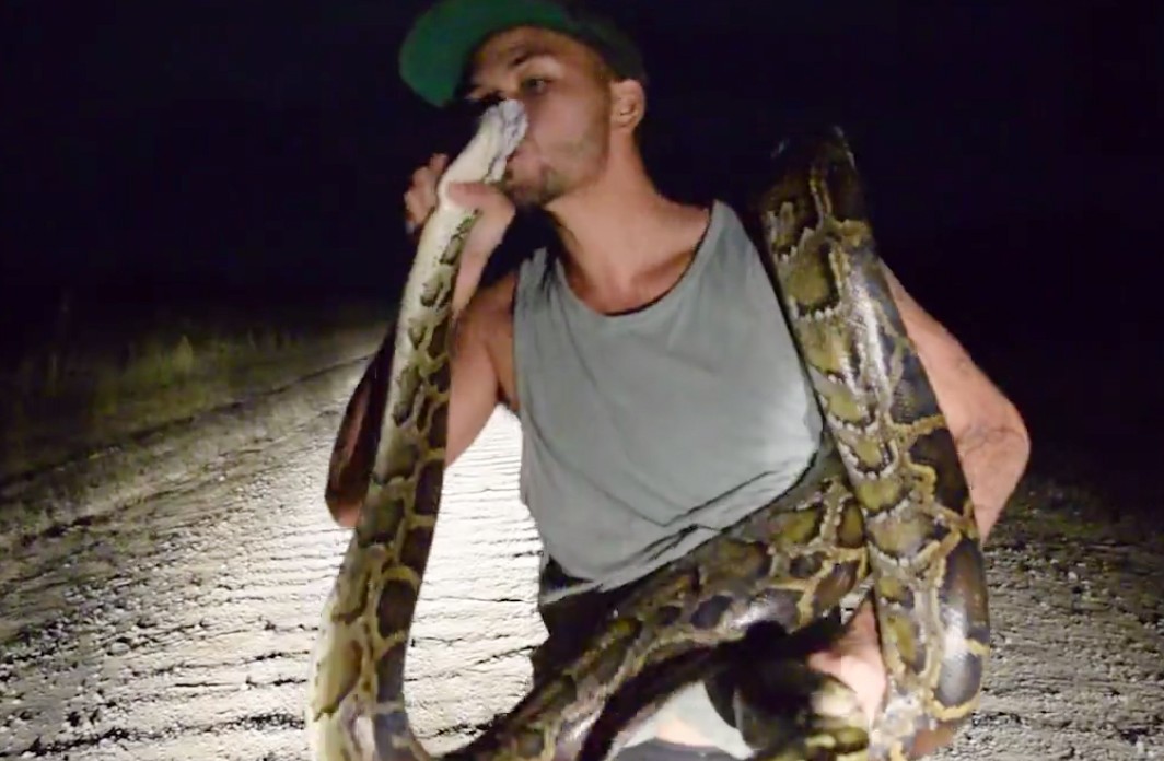 3 metrelik pitonu elleriyle yakaladı