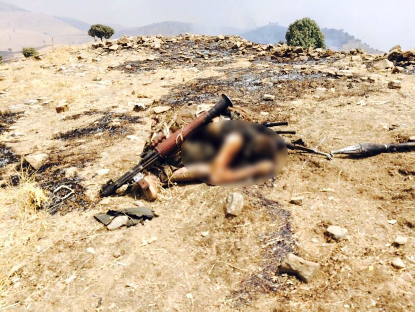 Şemdinli'de çatışma, çok sayıda terörist öldürüldü