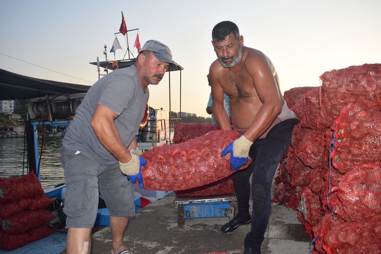 Salyangoz, Karadenizli balıkçıların gelir kaynağı oldu