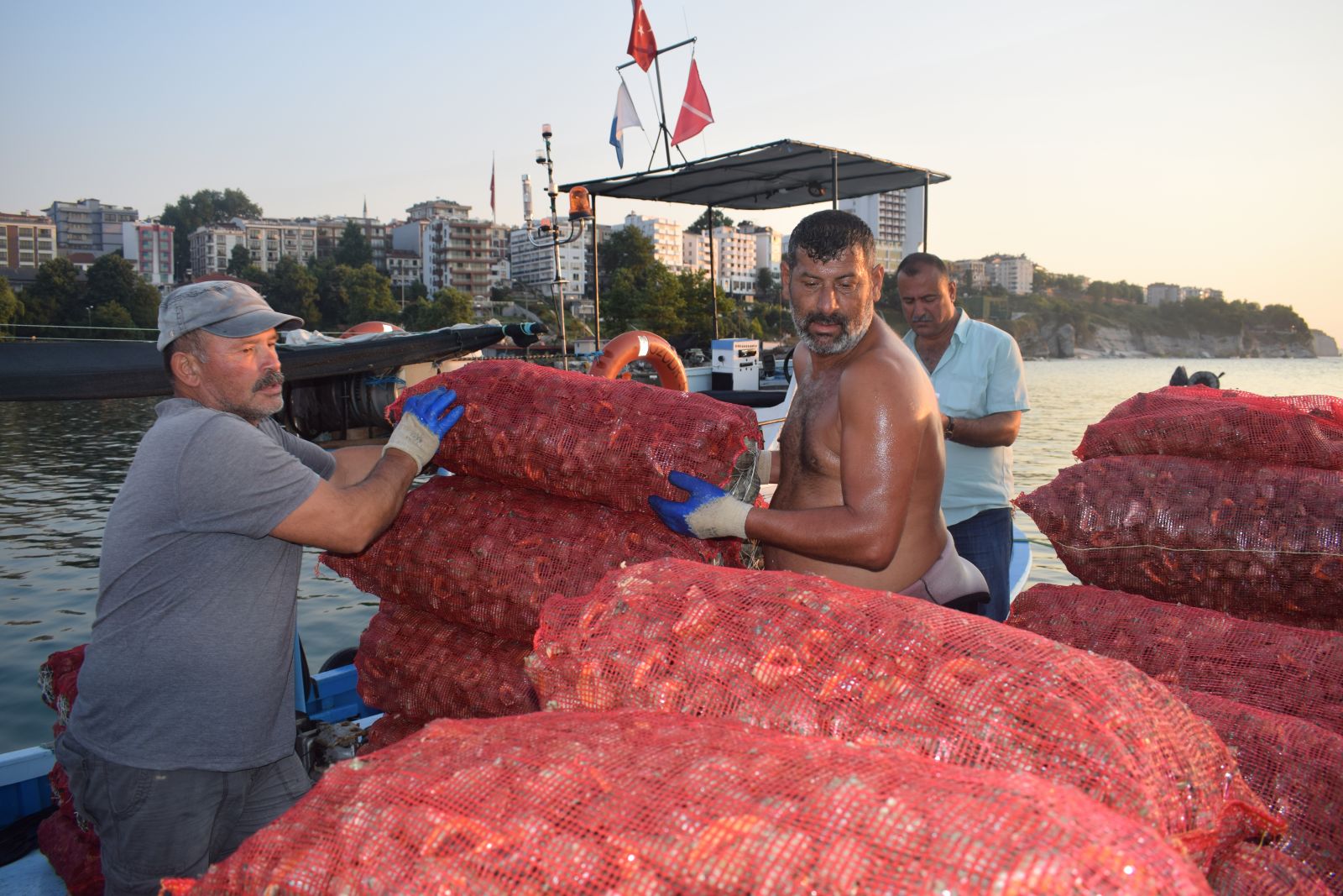 Salyangoz, Karadenizli balıkçıların gelir kaynağı oldu