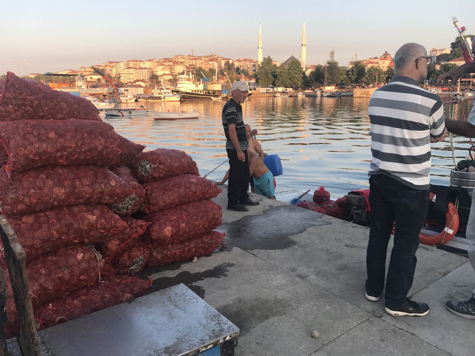 Salyangoz, Karadenizli balıkçıların gelir kaynağı oldu