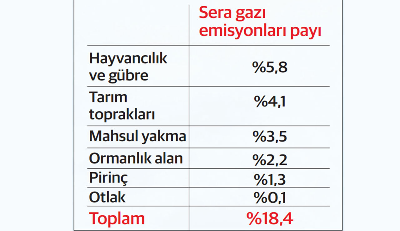 Dünyanın derdi sera gazı: Emisyonların sektörlere göre küresel dağılımı Dünyanın derdi sera gazı: Emisyonların sektörlere göre küresel dağılımı