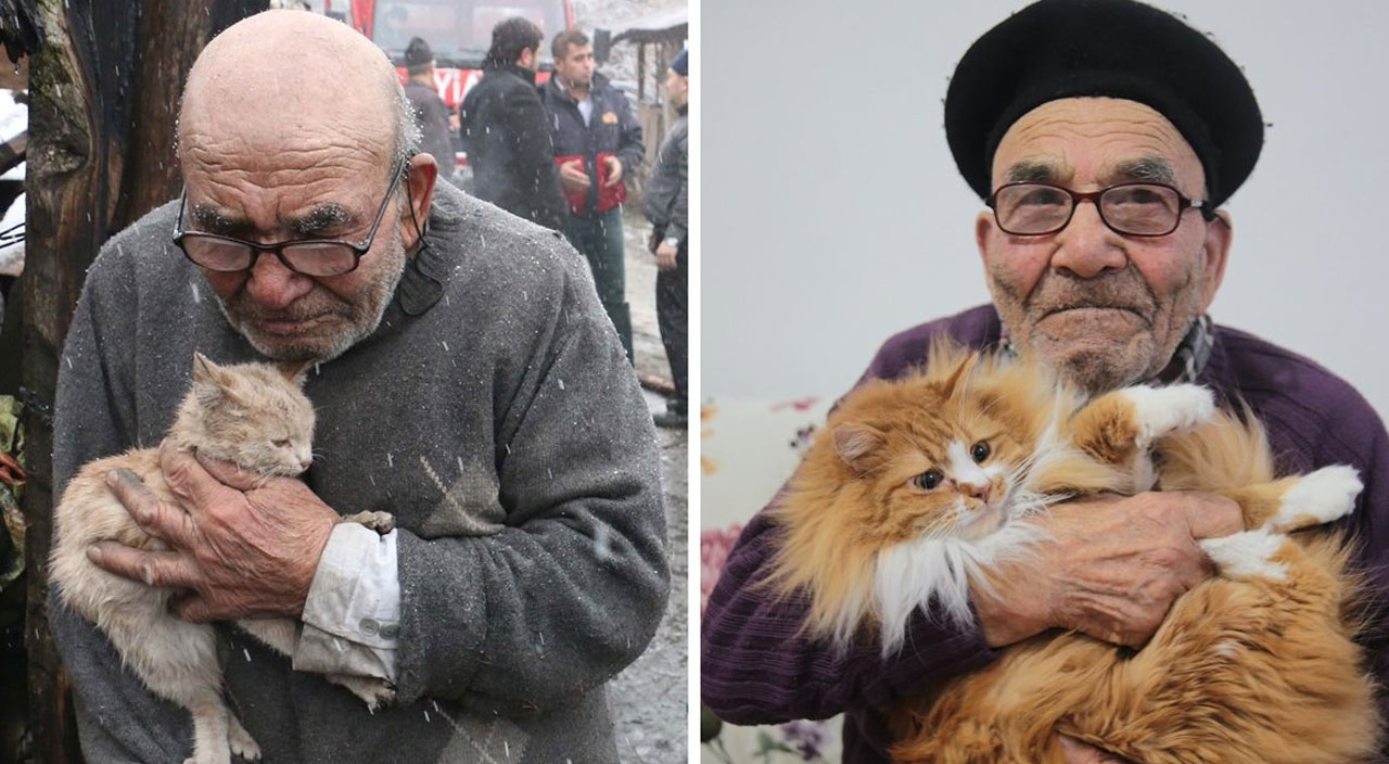 Yangından kedisiyle kurtulan 'Ali Dede'nin son hali Yangından kedisiyle kurtulan 'Ali Dede'nin son hali
