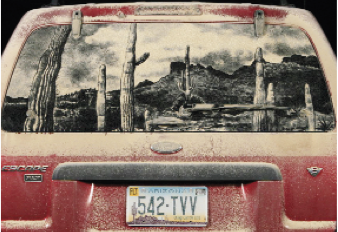 Kirlenmek güzeldir Kirlenmek güzeldir