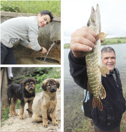 Toplanın  gidiyoruz dağlara