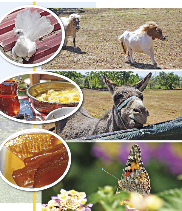 Çifte çubuğa döndü