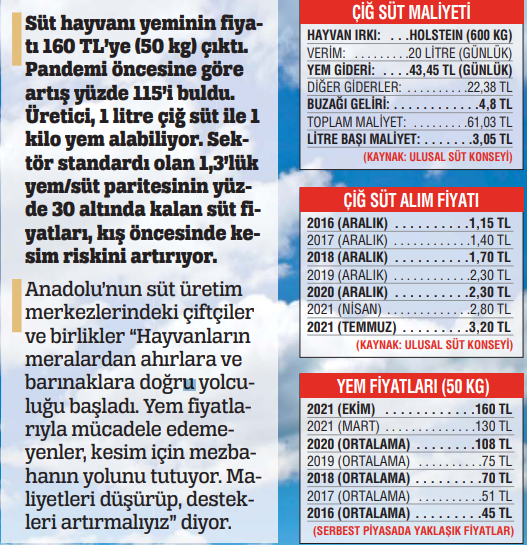 Üreticiler mezbahaların yolunu tutuyor: Süt ineği alarm veriyor