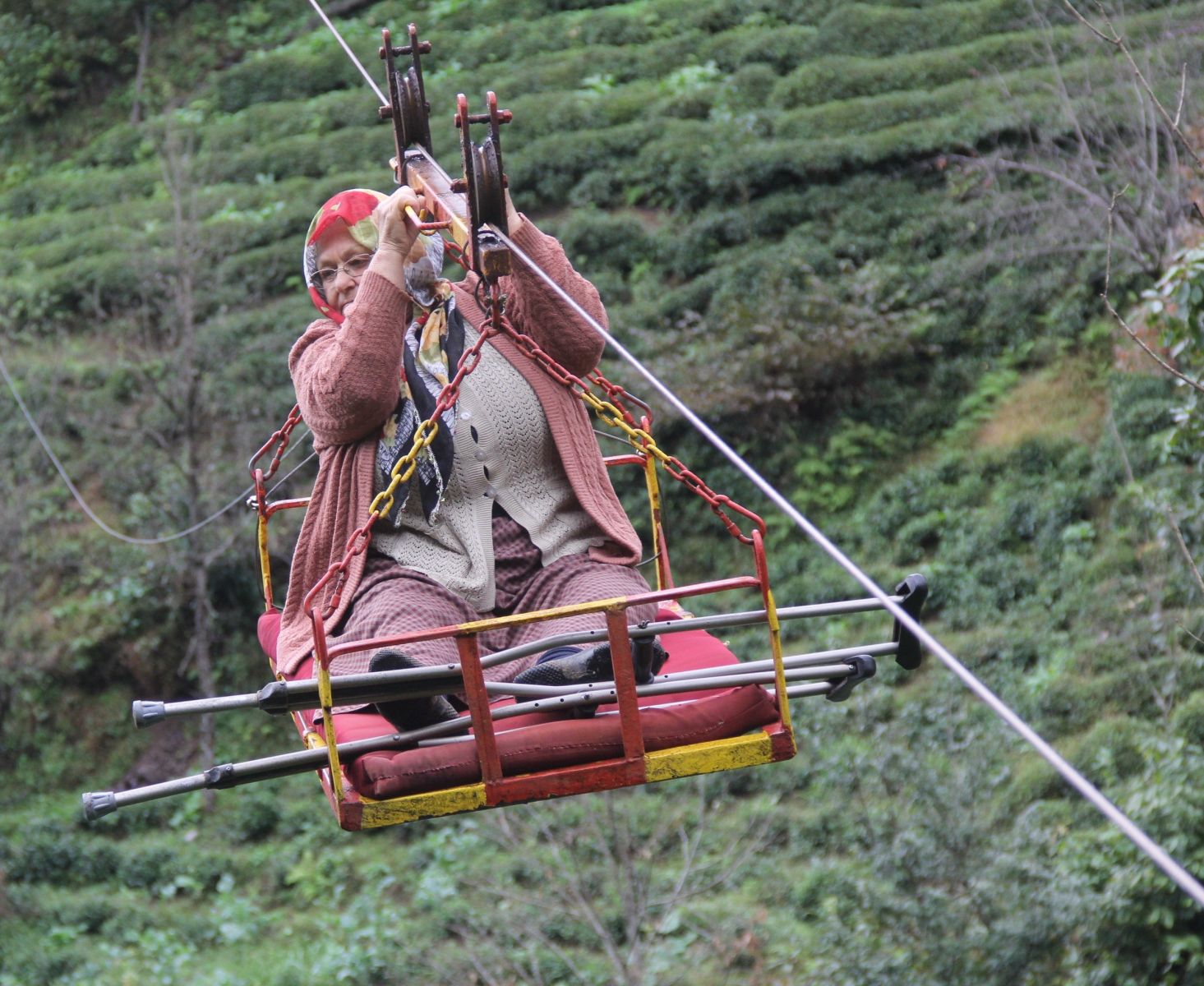 Rize’de kumaların teleferikle tehlikeli yolculuğu