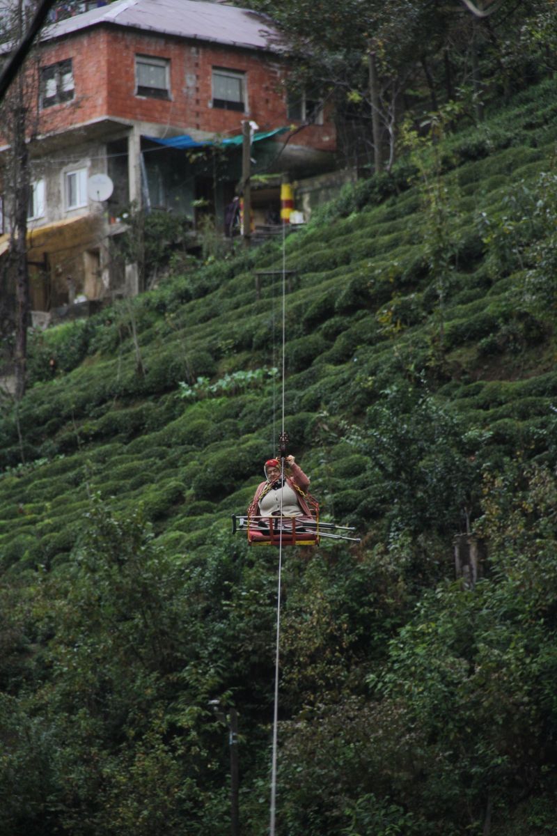 Rize’de kumaların teleferikle tehlikeli yolculuğu