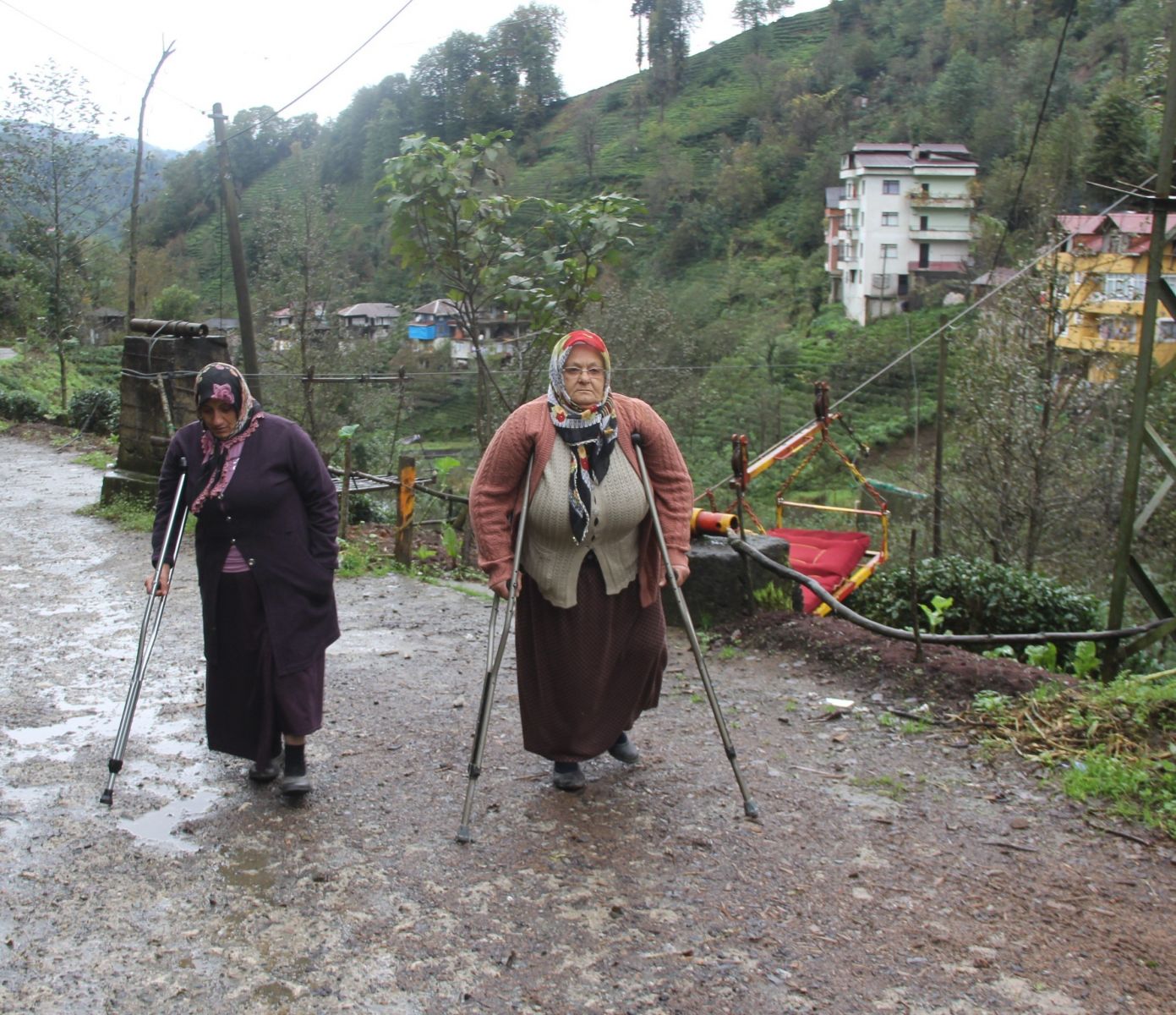Rize’de kumaların teleferikle tehlikeli yolculuğu