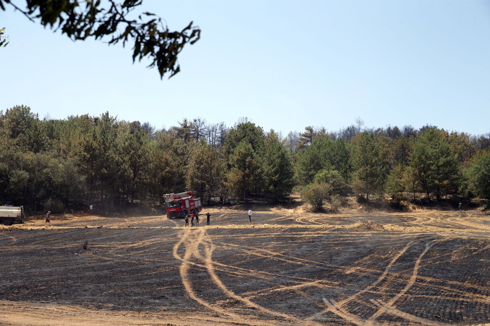 Uşak'taki orman yangını kontrol altına alındı
