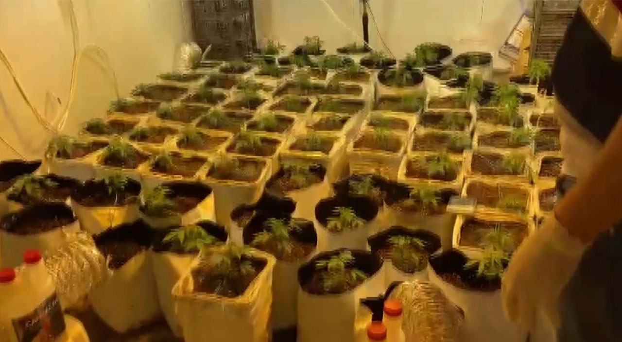 Konteyneri uyuşturucu serasına dönüştürmüşler