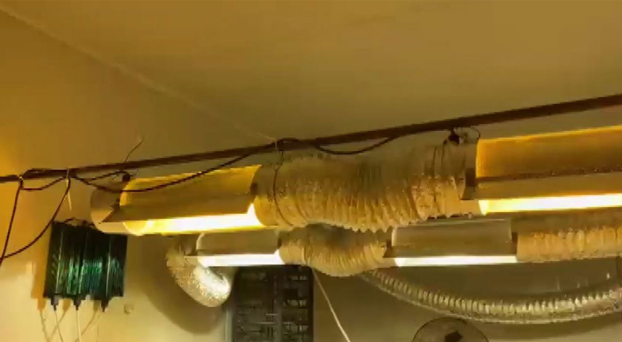 Konteyneri uyuşturucu serasına dönüştürmüşler