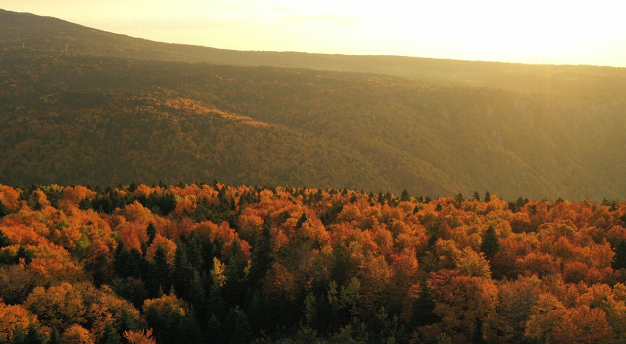 Uludağ'da sonbahar güzelliği